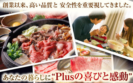【全6回定期便】【訳あり】【A4~A5】長崎和牛しゃぶしゃぶすき焼き750gセット【株式会社 MEAT PLUS】[QBS091]