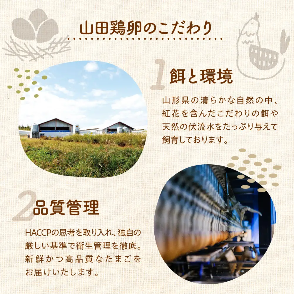 【定期便】 卵 紅花たまご 60個 × 3ヶ月 計180個