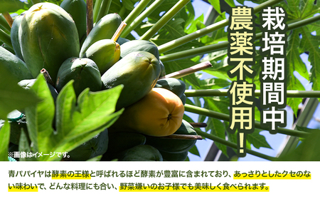 青パパイヤ 千切り 200g×5袋 ゆいやわす《30日以内に出荷予定(土日祝除く）》
