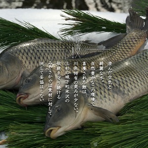 鯉 の あらい ＆ 鯉こく 4人前 セット ( あらい 1人前 10枚入り 計 40枚 ) ( 鯉こく 1袋 220g 計 4袋 ) 川魚 刺身 鯉のあらい スープ 山形県 米沢市