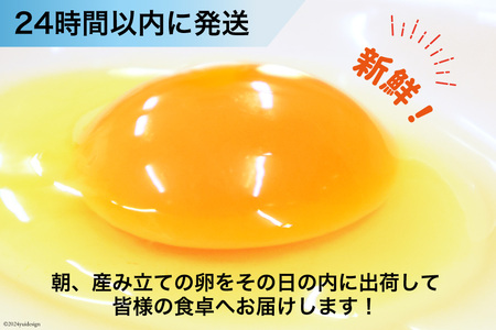 BI026 たっぷり！ 雲仙たまごLサイズ 80個 (75個＋割れ補償5個入り) [長崎県 島原市]