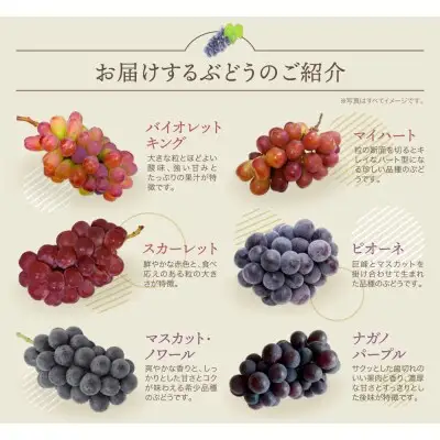 Y20-03 【2026年発送】《予約受付》 季節のぶどう3種セット 約1.5kg シャインマスカット ピオーネ クイーンニーナ ナガノパープル バイオレットキング マイハート マスカ・サーティーン マスカット・ノワール スカーレット 天晴 瀬戸ジャイアンツ