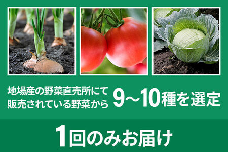 季節のお野菜 おまかせセット B（9～10種類）詰め合わせ