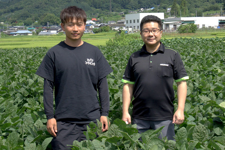 厳選 天狗印枝豆「味緑（みりょく）」約1.25kg