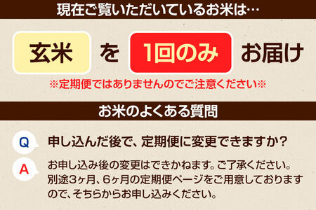 【玄米】令和7年産 真田のコシヒカリ小松姫 プレミアム 2kg×1袋 金井農園 [こしひかり コシヒカリ 玄米 お米 1回だけ 1回のみ]