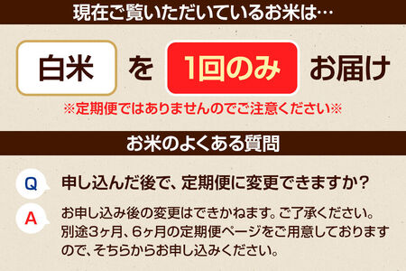 【白米】令和7年産 真田のコシヒカリ小松姫 5kg×1袋 金井農園 [こしひかり コシヒカリ 白米 精米 お米 1回だけ 1回のみ]