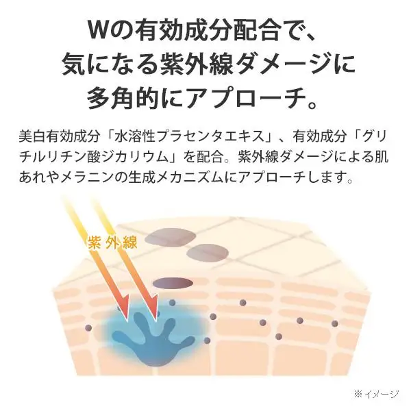 パーフェクトワン 薬用SPホワイトニングローション 120mL 新日本製薬 薬用 美白化粧水 | ふるさと納税 美容 化粧品 スキンケア おすすめ コスメ 化粧水 無添加 美白 保湿 紫外線 乾燥 ケア 人気 福岡市 送料無料 医薬部外品