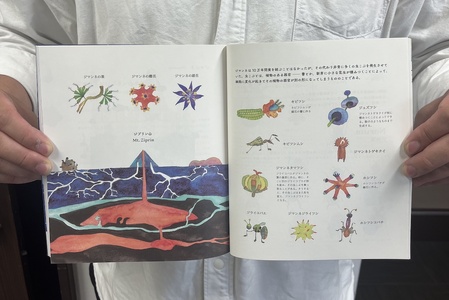 「ジマンネの木」　