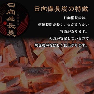 ＜訳あり＞ 日向備長炭(5kg) 木炭 国産【IK-4】【池田製炭所】