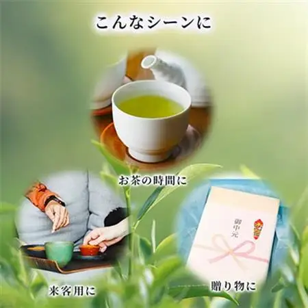 茶の匠シリーズ全国の日本茶飲み比べセット_飲料・ドリンク 茶葉・ティーバッグ 茶 _【1073371】