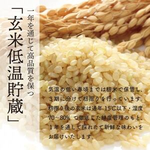 予約受付開始!秋田県産　あきたこまち30kg　1等　玄米【令和7年産】《11月初旬より発送》【配送不可地域：離島・沖縄県】【1519384】