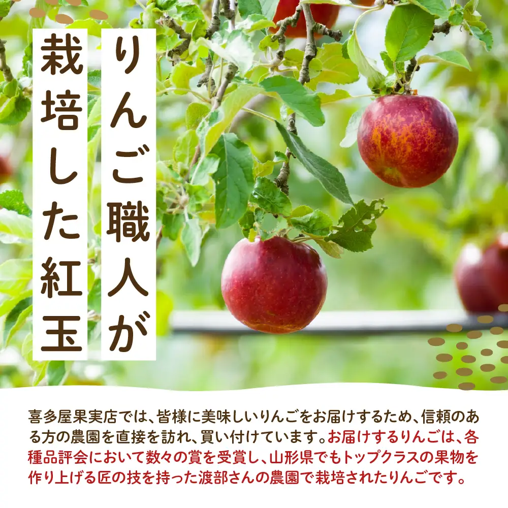 【先行予約】 令和8年産 紅玉 りんご 約2kg 舘山 りんご