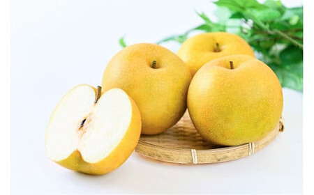 新甘泉【鳥取県産】３ｋｇ(生橋農園) 梨 果物 フルーツ