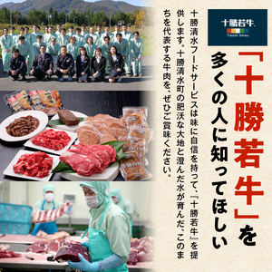 十勝若牛100％使用！十勝若牛ハンバーグ 100g×12個【十勝若牛 ハンバーグ 100g × 12個 牛肉 肉 ブランド牛 国産 惣菜 小分け 豊かな旨味 贈り物 冷凍 お取り寄せ ギフト お中元 お歳暮 のし 熨斗北海道 清水町】_S003-0027