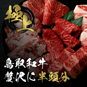 Y291 【和牛セレブ】鳥取和牛半頭分（一括配送） 