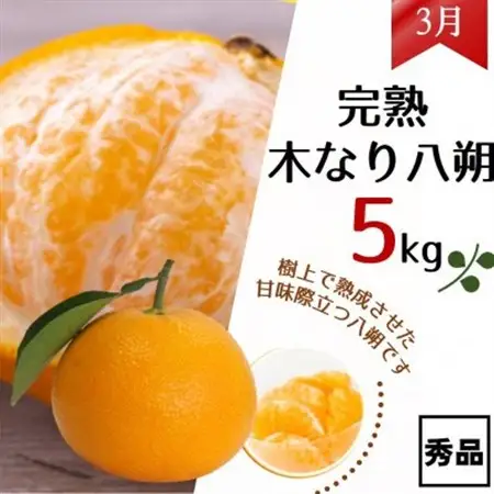 【発送月固定定期便】和歌山からの贈り物　農園直送　季節の柑橘定期便(贈答用)　各5kg全3回【配送不可地域：離島・北海道・沖縄県】【4053733】