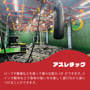 ゴリラパーク 体験チケット 中学生以下 チケット体験チケット割引チケット割引券