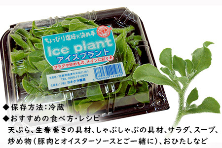 『先行予約』【11月中旬より順次発送】アイスプラント(70g×30パック)ぷちぷち食感 塩味 野菜 天ぷら 生春巻き サラダ スープ しゃぶしゃぶ 炒め物 おひたし