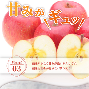 【先行予約】 令和8年産 りんご ＆ ラ・フランス 詰め合わせ セット 各 約2kg 計 約4kg
