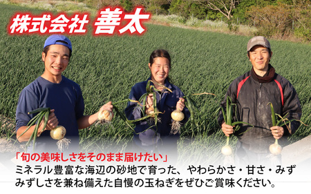 新玉ねぎ 4kg 淡路島 不揃い / フルーツ玉ねぎ