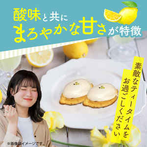 【ナチュラルファーム菓樹】レモンケーキ 10個（5個入×2箱）～上毛町産レモン使用～  _NK1106