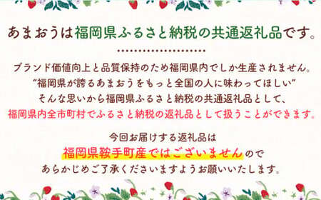 いちご あまおう 先行予約 いちご 大量 540g  フルーツ《2027年2月上旬-2月末頃出荷》苺 旬 くだもの 果物 福岡県 鞍手町 