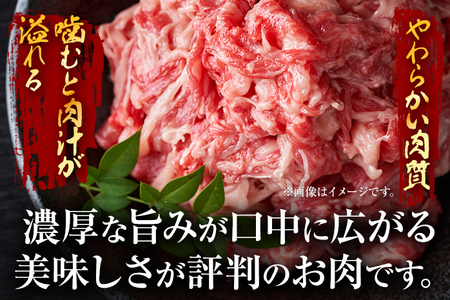 牛肉 切り落とし牛肉 | 博多和牛 1kg 訳あり CP016
