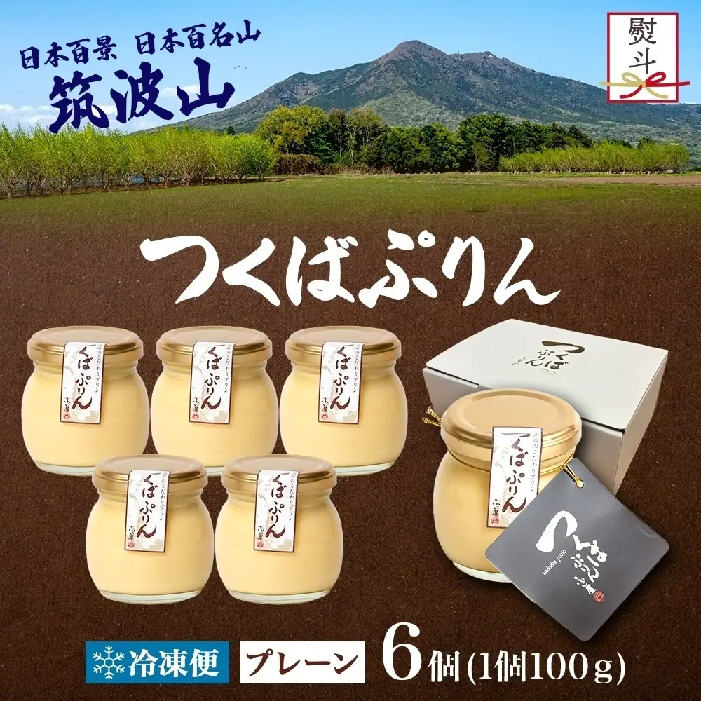 無地熨斗 つくばぷりん プレーン 6個 冷凍 プリン ぷりん 牛乳 生乳 ミルク 卵 奥久慈卵 スイーツ 贅沢 洋菓子 おやつ 冷菓 ご褒美 デザート 専門店 人気 グルメ お取り寄せ ギフト プレゼント 贈り物 贈答品 化粧箱 筑波山麓 つくば 送料無料 ふじ屋 茨城県 桜川市 [EW023sa]