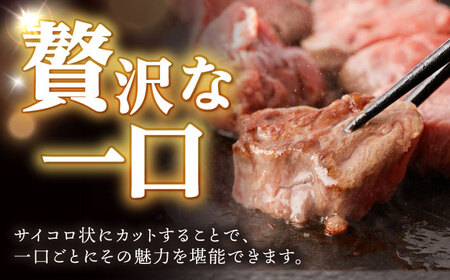 【12回定期便】 【一口で広がる贅沢な旨味！】長崎和牛 A5 ヒレサイコロステーキ 400g / ヒレ ひれ ヒレステーキ ステーキ すてーき サイコロステーキ / 諫早市 / 野中精肉店 [AHCW108]