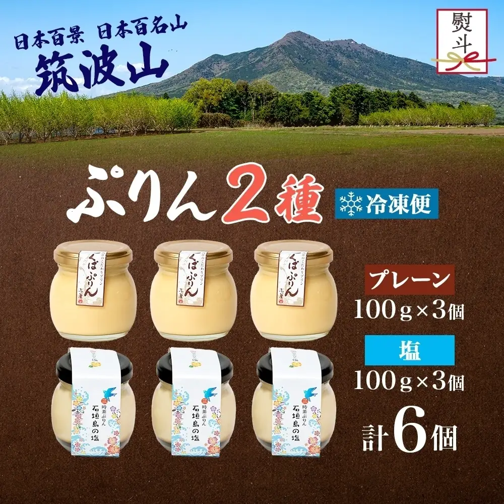 無地熨斗 つくばぷりん プレーン ＆ 三時茶ぷりん 塩 各3個 計6個 冷凍 プリン ぷりん しお スイーツ 洋菓子 おやつ 冷菓 ご褒美 デザート 専門店 和スイーツ 人気 グルメ お取り寄せ ギフト プレゼント 贈り物 つくば 石垣島 三時茶 送料無料 ふじ屋 茨城県 桜川市 [EW028sa]