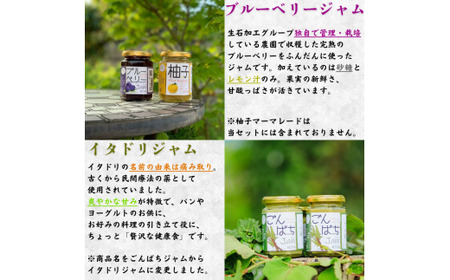 【手作り・無添加】「ふるさとの愛情詰め合わせ 食卓セット1」～ みそ・ジャム・焼肉のタレ ～  /調味料 味噌汁 パン BBQ スイーツ 料理 米味噌 梅味噌 ブルーベリー イタドリ ゴンパチ 和歌山【ois629-set-1】