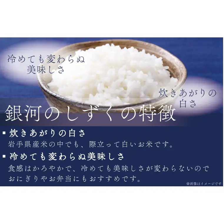 【定期便 3ヶ月】無洗米 令和7年産 銀河のしずく 10kg AE196 無洗