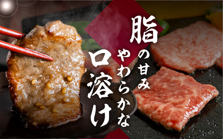 飛騨牛 カルビ 焼肉 570g |  A4 A5 冷凍 牛肉 和牛 肉 国産 熨斗掛け バーベキュー 焼き肉 カルビ 高級 ギフト 熨斗 のし 人気 寄合所 耕[Q2235x]