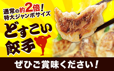 餃子 どすこい餃子 冷凍 15個 浜あげ吉田屋 | 餃子