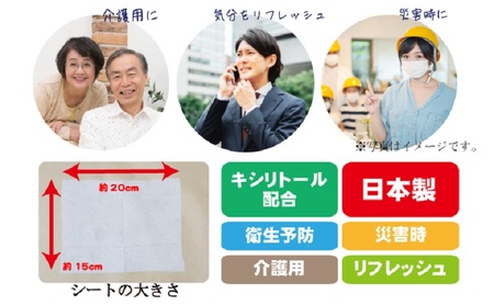 【キシリトール配合】口腔お手入れウェットシート 50枚入り×15個セット（750枚）