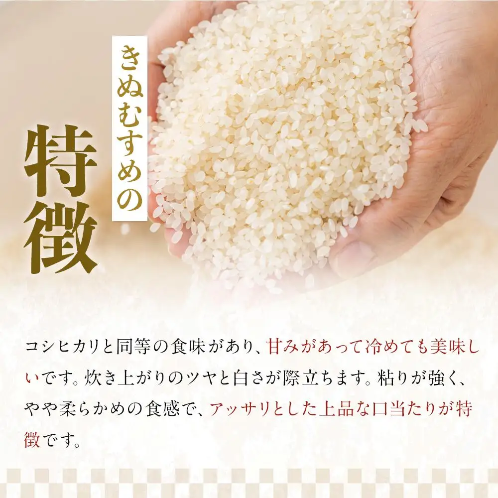 令和7年産  上富田町産 金芽米 きぬむすめ 5kg 井戸本農園