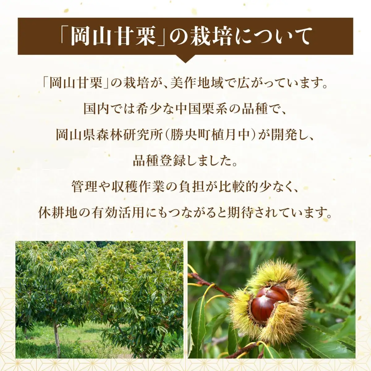 岡山甘栗・ギフト3パック詰合せセット【010-a014】