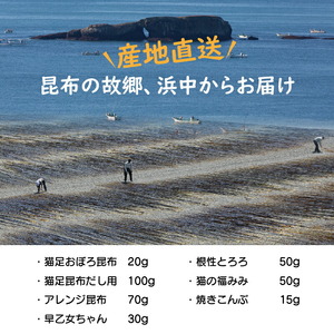 まるごと昆布セットA　昆布 セット 猫足おぼろ昆布 20g 猫足昆布だし用 出汁 100g アレンジ昆布 70g 早乙女ちゃん 30g 根性とろろ とろろ 猫の福みみ 50g 焼きこんぶ 15g こんぶ娘の工房 産地直送 北海道 浜中町 お取り寄せグルメ 食品 食べ物 加工品 常温発送 送料無料_H0005-100