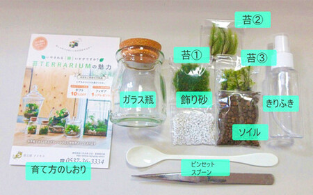 【A：追加の苔1種】 おうちで作ろう♪ 苔テラリウム 手づくりキット 小瓶 選べるアイテム 【おうち時間】【インテリア】 育て方のしおり 付き 植物 テラリウム 苔テラリウム 苔 こけ コケ 手作り ハンドメイド セット