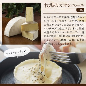 《人気No1》手造りチーズセット チーズ_H0003-102