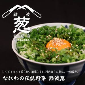 【 美味しい ネギ 】 難波葱 2kg ネギ