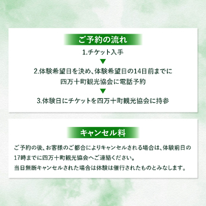 四万十町遠山植物観察会　体験チケット（1～5名様）／Mkk-33