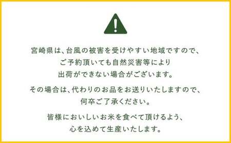 【3か月定期便】 無洗米 ＜チャック付＞ 米 国産 令和7年産 夏の笑み 宮崎県産（ 計10kg×3回）