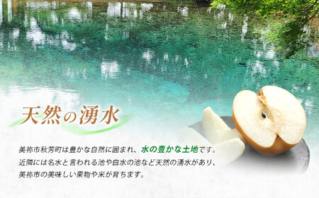 美祢市 二十世紀梨 （約3kg）【先行予約：9月より発送予定】