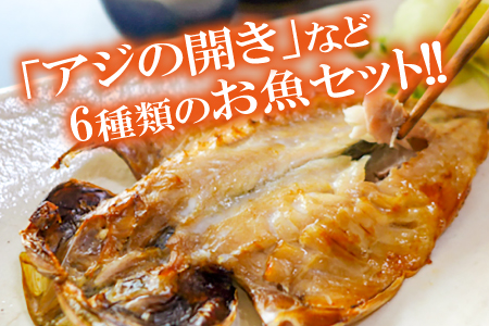 岡富商店のたっぷり干物セット【干物 セット 無添加 干物セット のどぐろ干物 2枚 計100g 穴子干物 1尾 1/2カット あじ干物 2枚 計200g エテかれい干物 3枚 計200g はたはた干物 110g ニギス干物 200g】