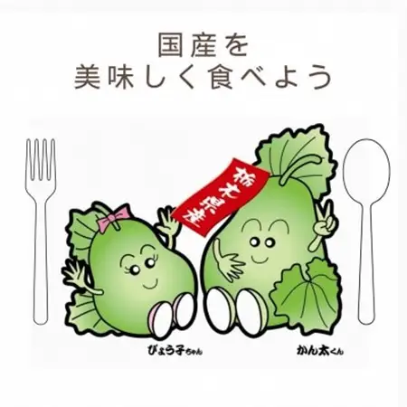 下野ブランド　下野市産かんぴょう　　　　　約60g×2袋【1485718】