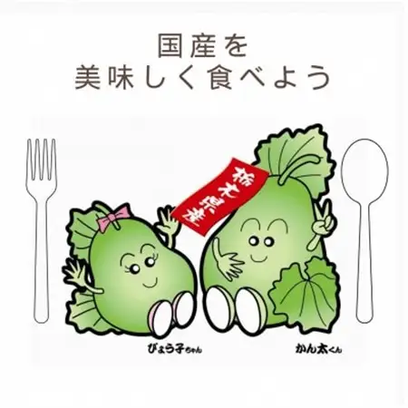 下野ブランド　下野市産かんぴょう　　　　　バラツキ有り増量　約80g×2袋【1485722】