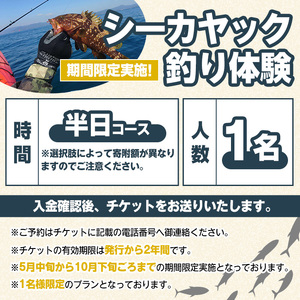 期間限定実施『パズル』オリジナル！シーカヤック釣り体験チケット(半日/1名) 阿久根 釣り シーカヤック アウトドア アクティビティ 自然 体験 ツアー チケット 海 マリンスポーツ 魚【パズル】akn098-03