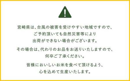 【12か月定期便】 無洗米 ＜チャック付＞ 米 国産 令和7年産 夏の笑み 宮崎県産（5kg×12回）