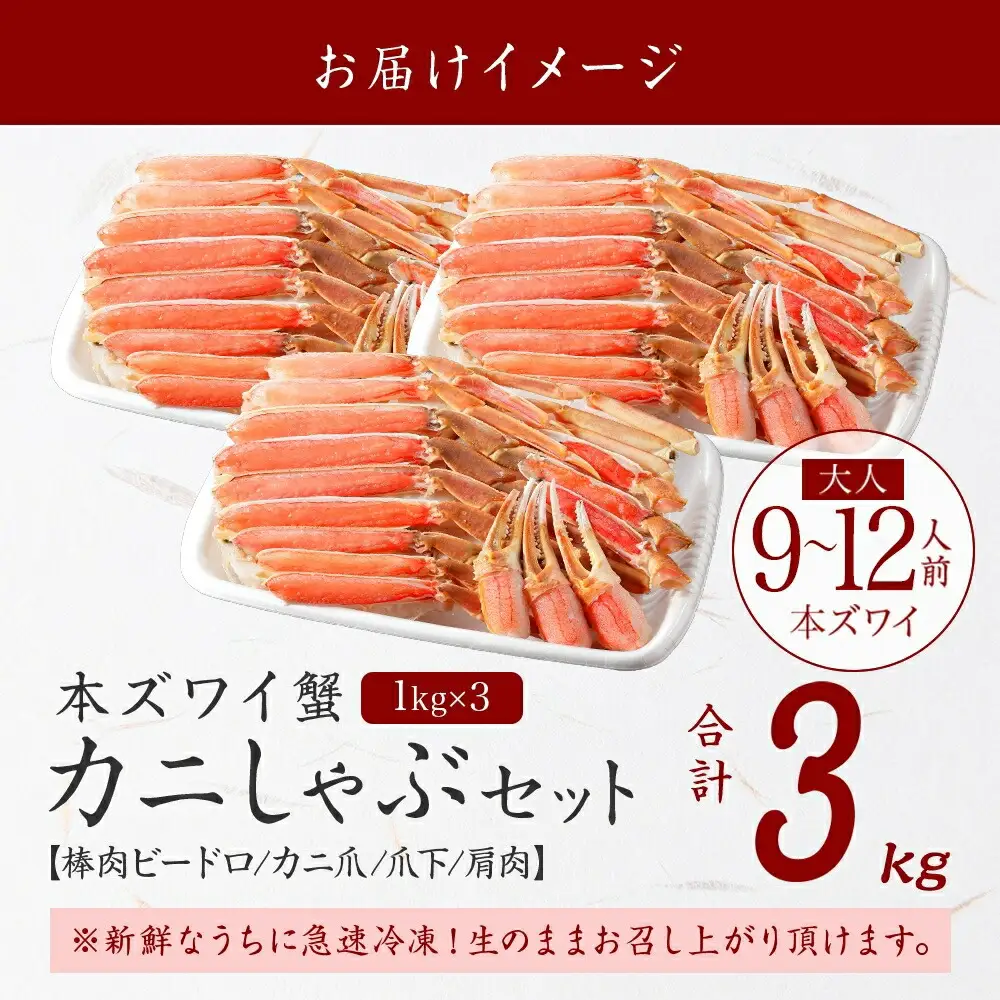 《12月指定可 最短30営業日内発送》3000. 本ズワイガニ 蟹しゃぶ ビードロ 1kg 3個 計3kg 9-12人前 生食 カット済 ずわい蟹 ズワイガニ カニ 蟹 かに 生 蟹しゃぶ 人気 お取り寄せ 送料無料 北海道 弟子屈町